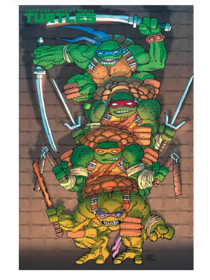 Teenage Mutant Ninja Turtles 21 Variant Cover di Frank Miller
