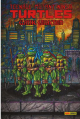 Teenage Mutant Ninja Turtles 3 classic
