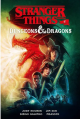 Stranger Things/ Dungeons & Dragons