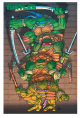 Teenage Mutant Ninja Turtles 21 Variant Cover di Frank Miller